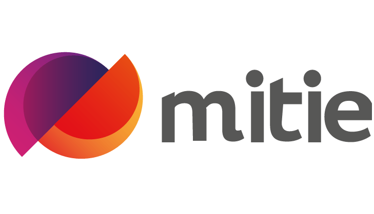 mitie job assessments